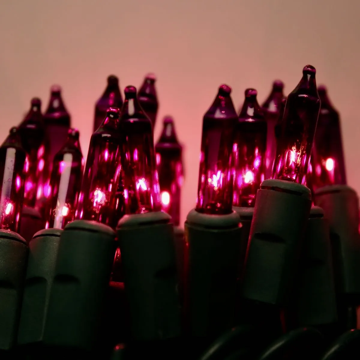 100-bulb Purple Mini Lights, 2.5" Spacing, Green Wire