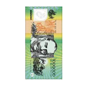 $100 Note Beach Towel