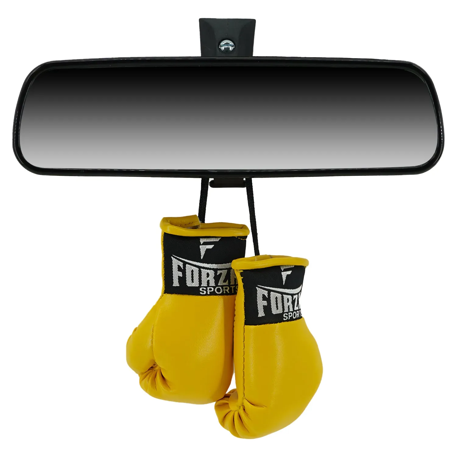 Forza Sports Mini Boxing Gloves