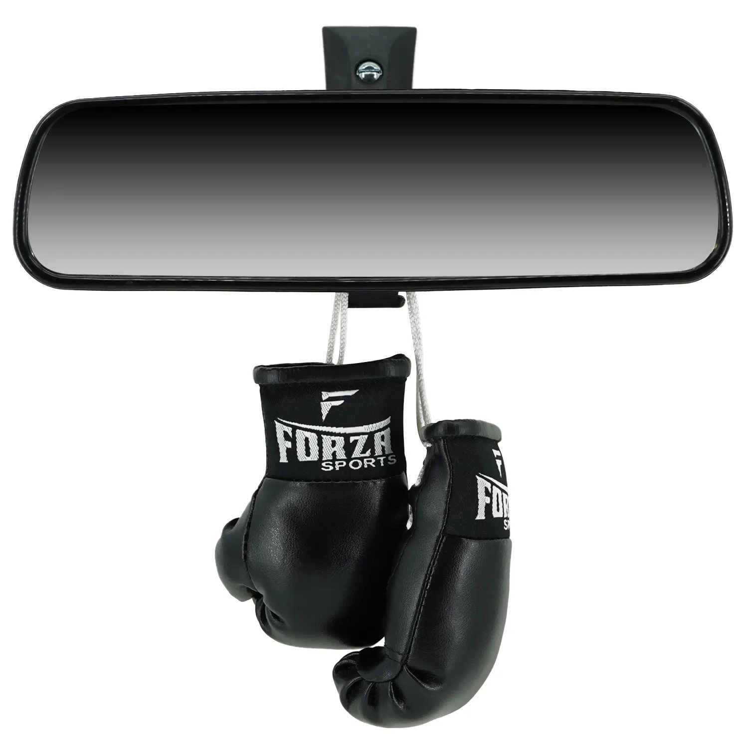 Forza Sports Mini Boxing Gloves