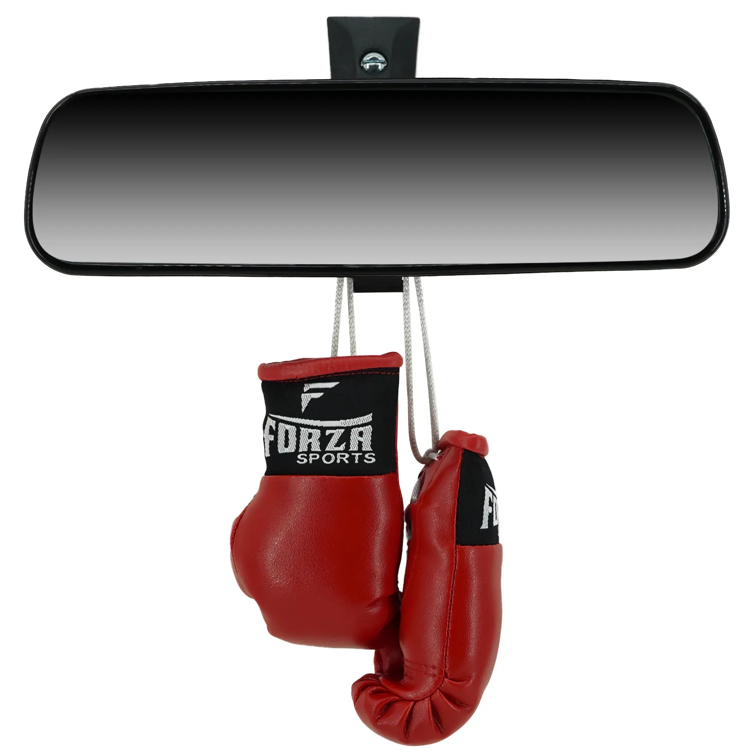 Forza Sports Mini Boxing Gloves