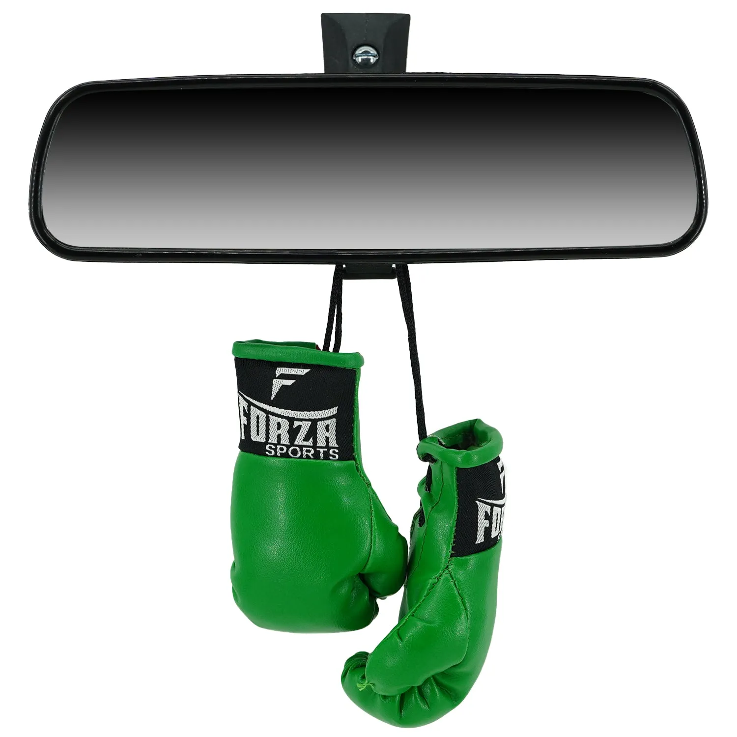 Forza Sports Mini Boxing Gloves