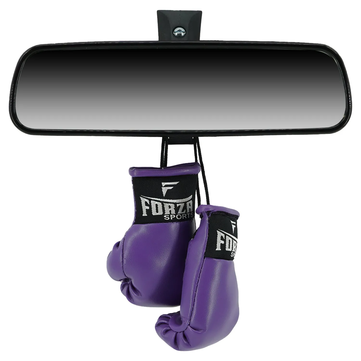 Forza Sports Mini Boxing Gloves