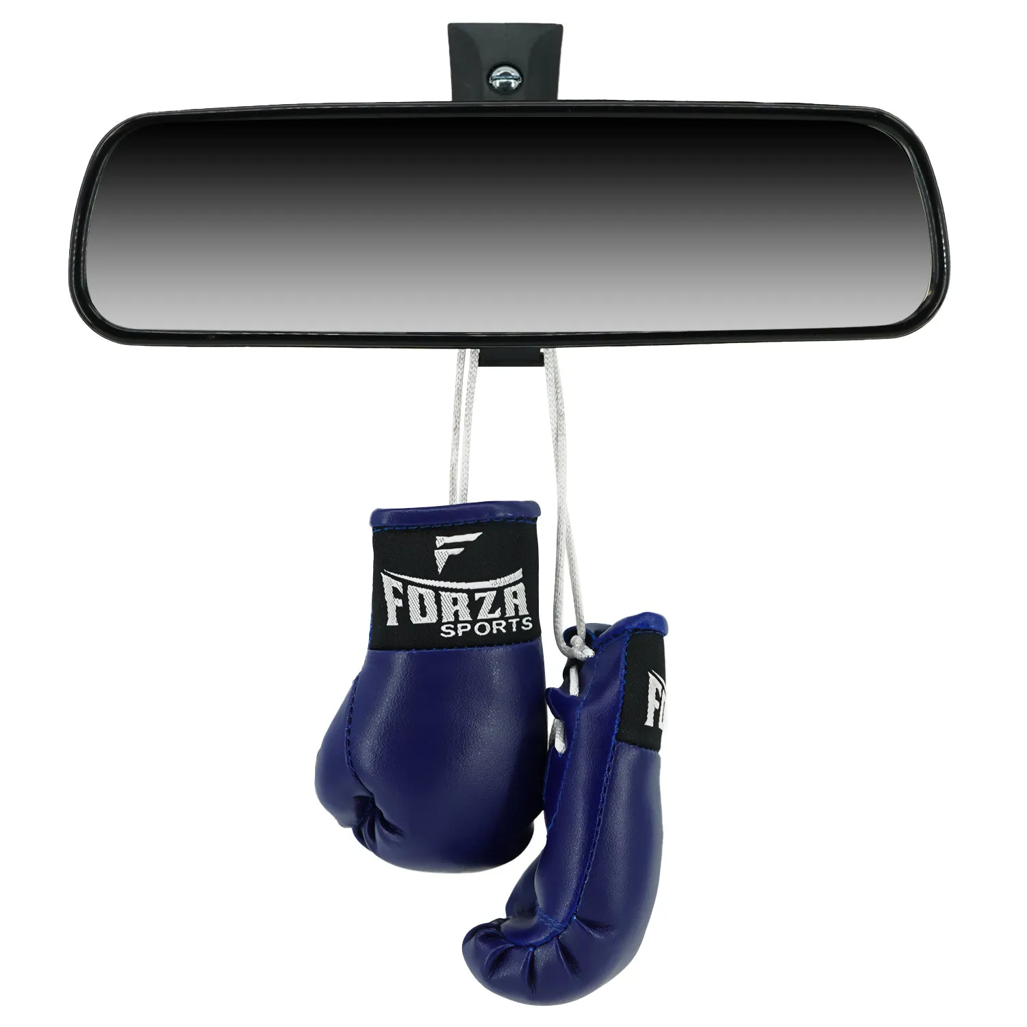 Forza Sports Mini Boxing Gloves