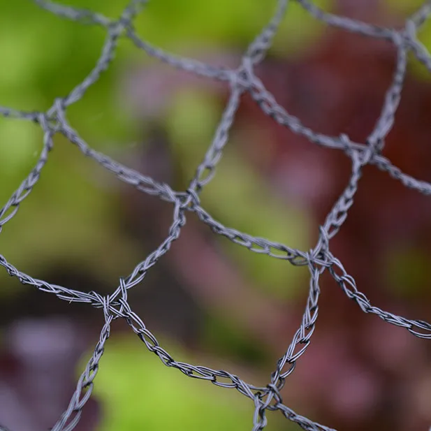 Fruit Cage Roof Net - 19mm woven diamond mesh