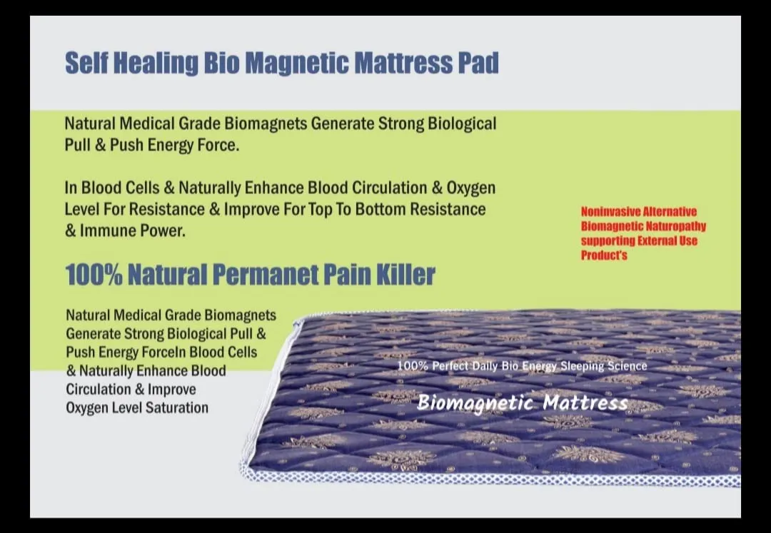 GT Enterprise BIO Magnetic Mattress Protector with 1 Pillow (3X6 feet) Blue