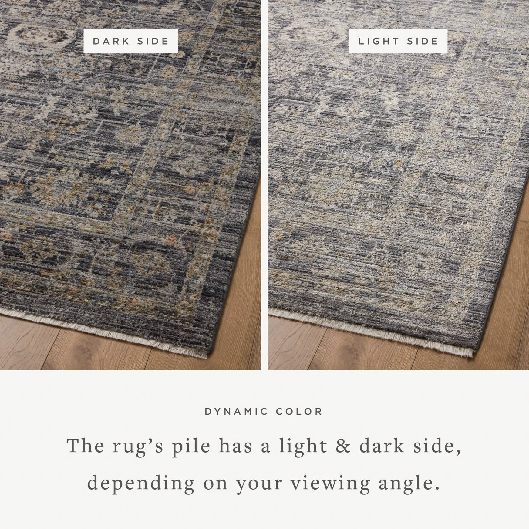 Jean Stoffer x Loloi Katherine Rug - Midnight Tobacco