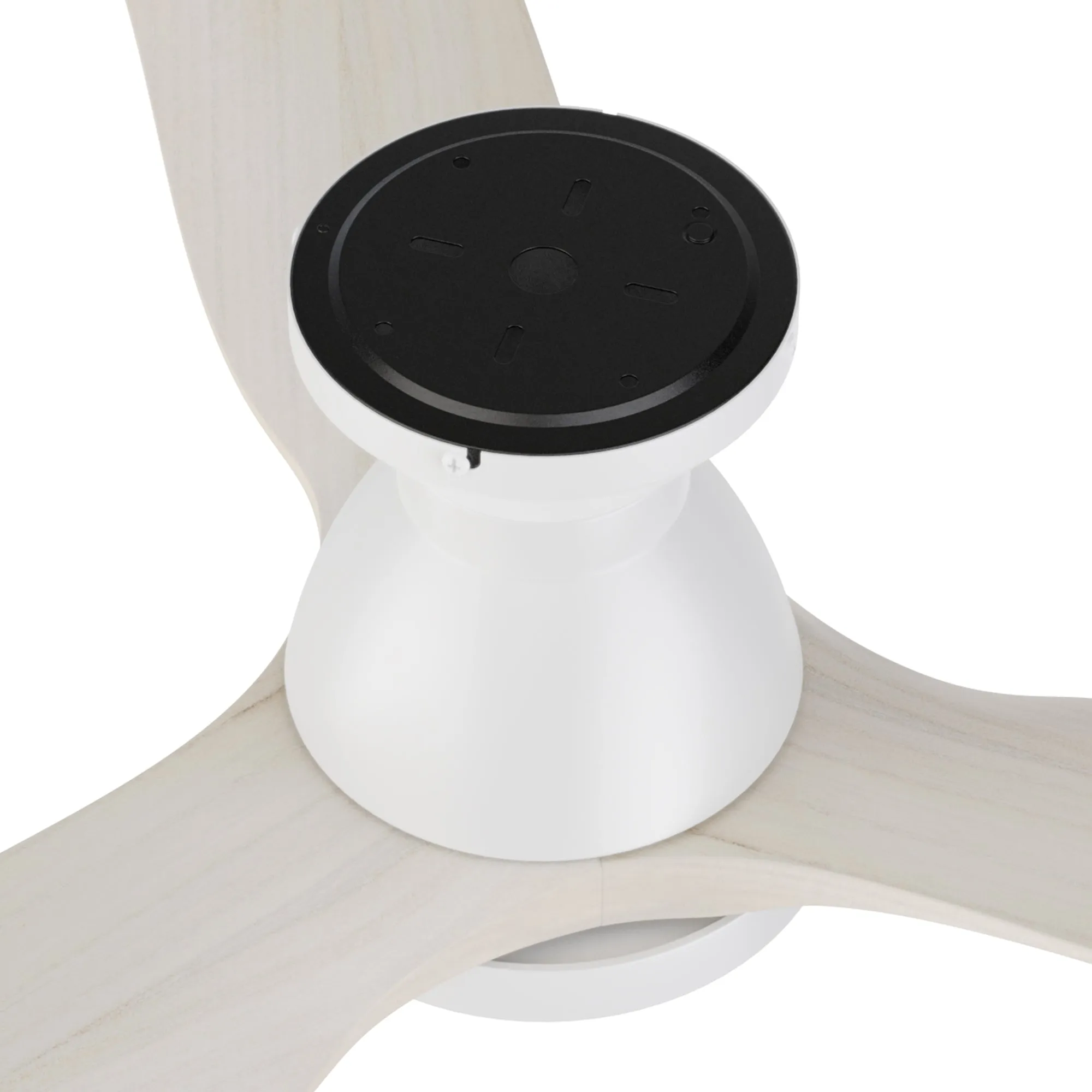 Lainey Flush Mount Ceiling Fan with LED Light and Remote 52 inch