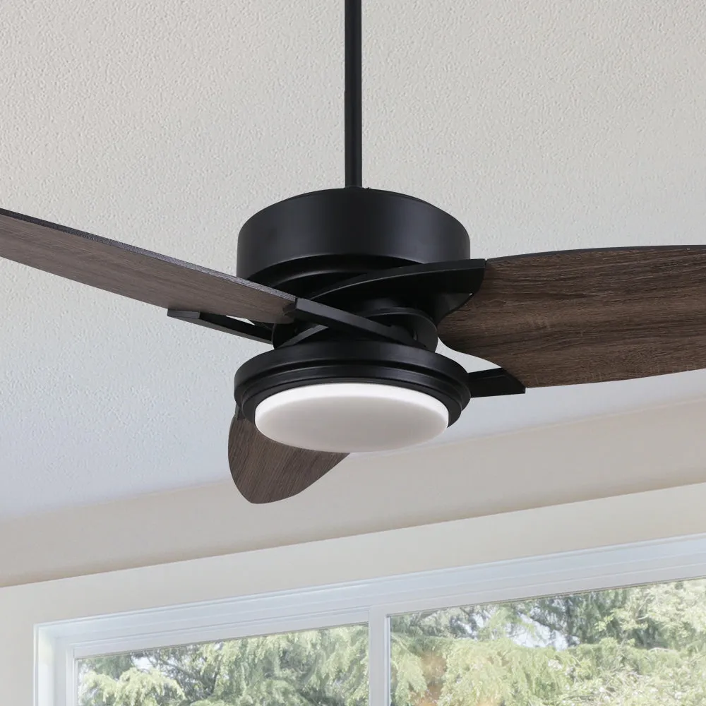 Maxwell 52 inch Ceiling Fan with light and Remote