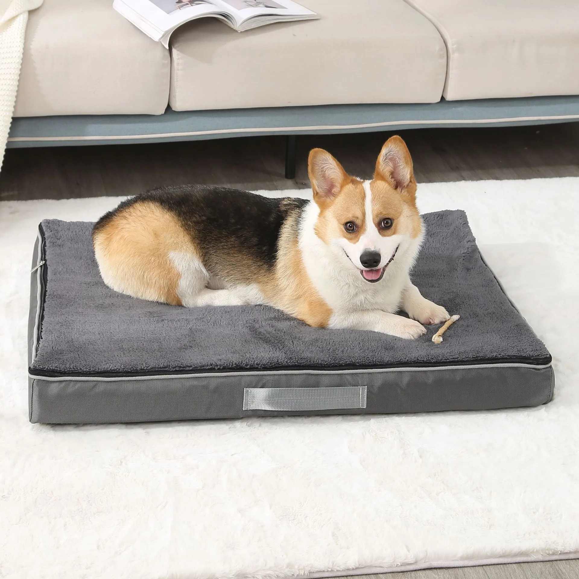 Memory Foam Orthopedic Dog Bed