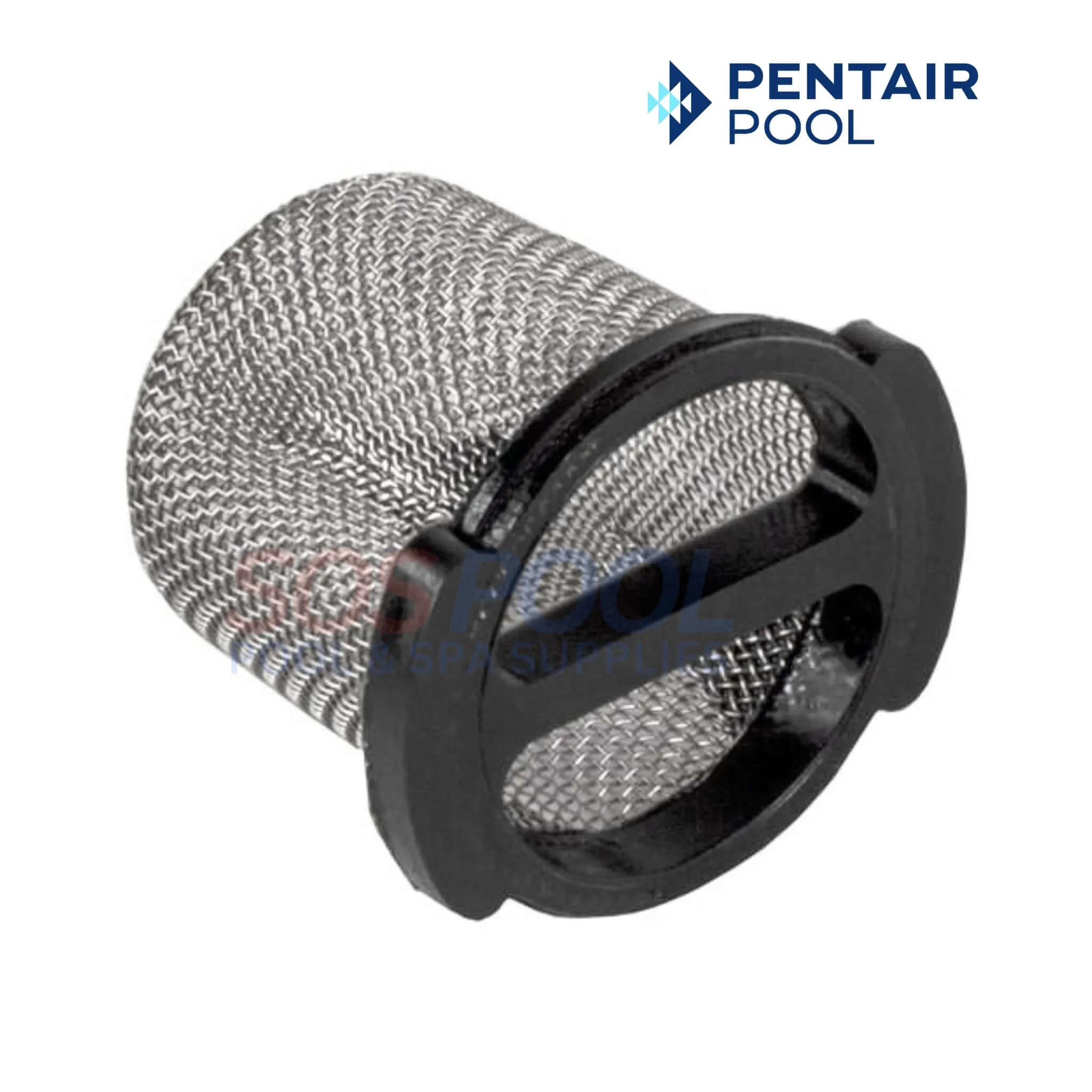 Pentair Wall Fitting Screen For Cleaners | E24